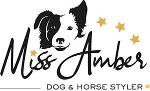 Miss Amber Logo